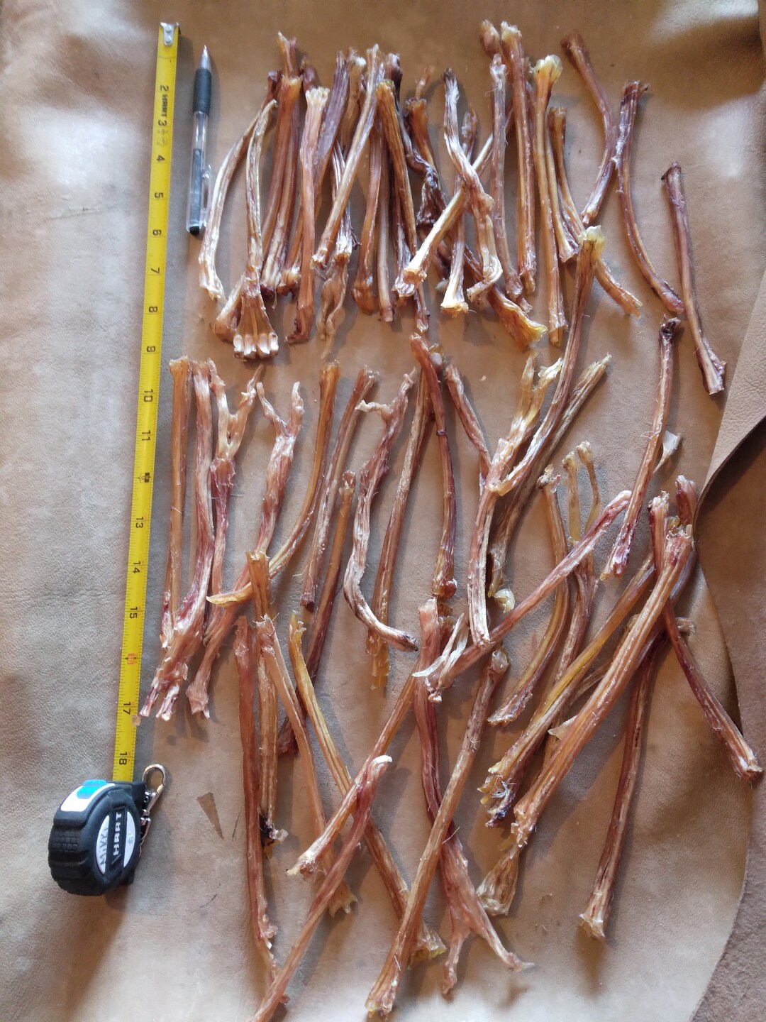 10 Strips Deer Tendons 6 to 8 In. Etsy