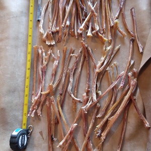 ONE GENUINE DEER LEG SINEW - cleaned and ready for use