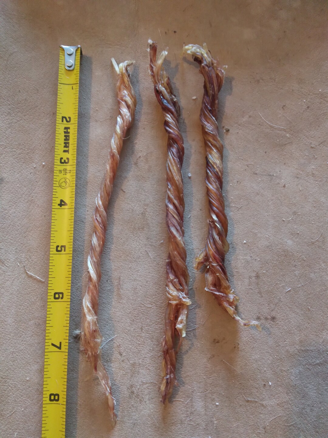 3 Deer Tendon Twists 6 to 8 In. Etsy