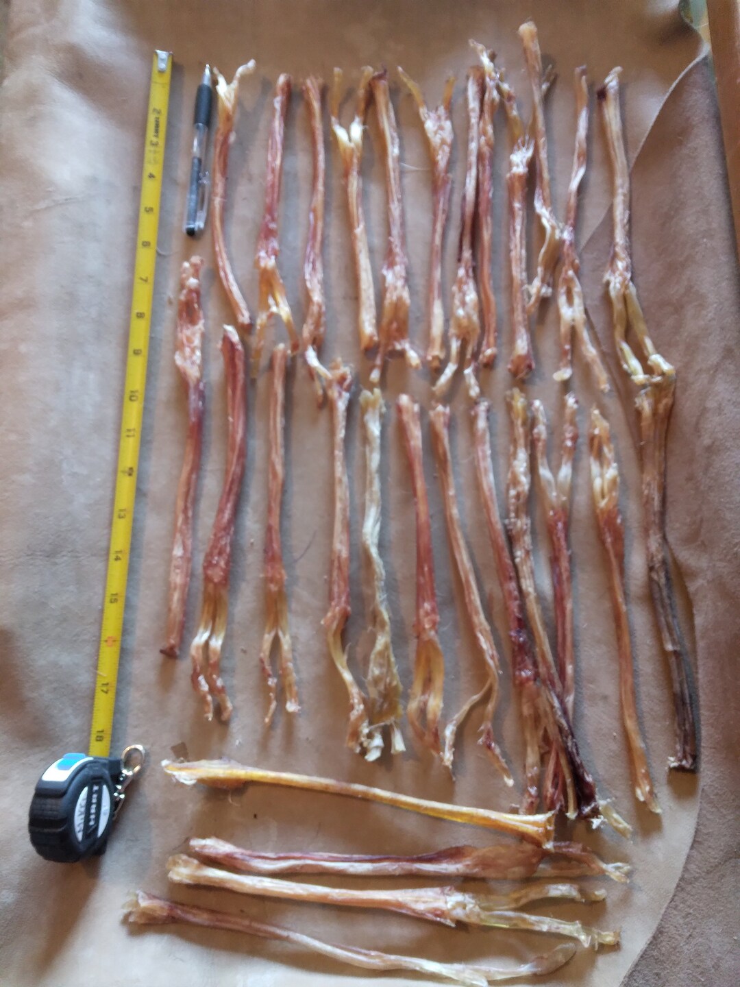 5 Strips Deer Tendons 8 to 10 In. Etsy