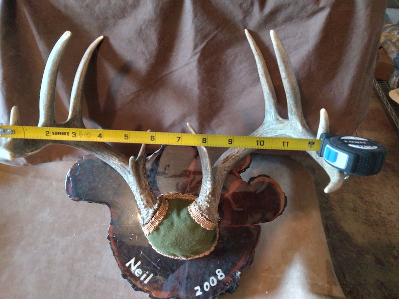 Montana Deer Antlers Etsy