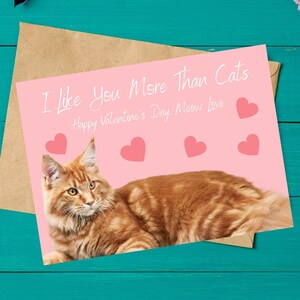 Carte de voeux Saint Valentin imprimable téléchargement instantané cartes 7 x 5 pouces pour la Saint Valentin, carte Saint Valentin à télécharger, Maine Coon