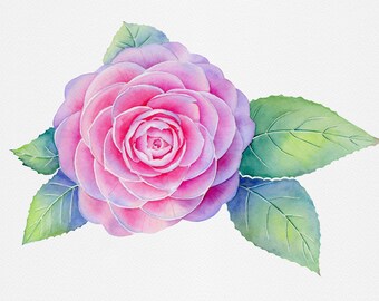 Watercolor Camellia PRINT / Giclee print from original watercolor painting / Botanical Wall Art