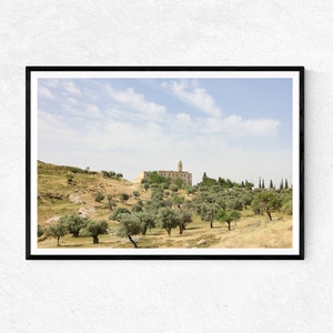 Olive Groves near the Mar Elias Monastery | Photo Print | Wall Art | Home Decor | Poster | Holy Land Gifts | Landscape Photography