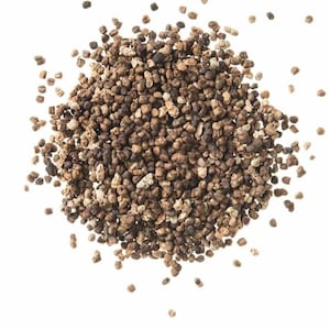 Decorticated Cardamom Seeds, 100% Natural from Guatemala, Harvest: Nov 2021, Great to Grind fresh for Coffee, Tea, Cooking, Sweets & Baking