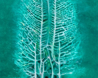 Original Oil Painting