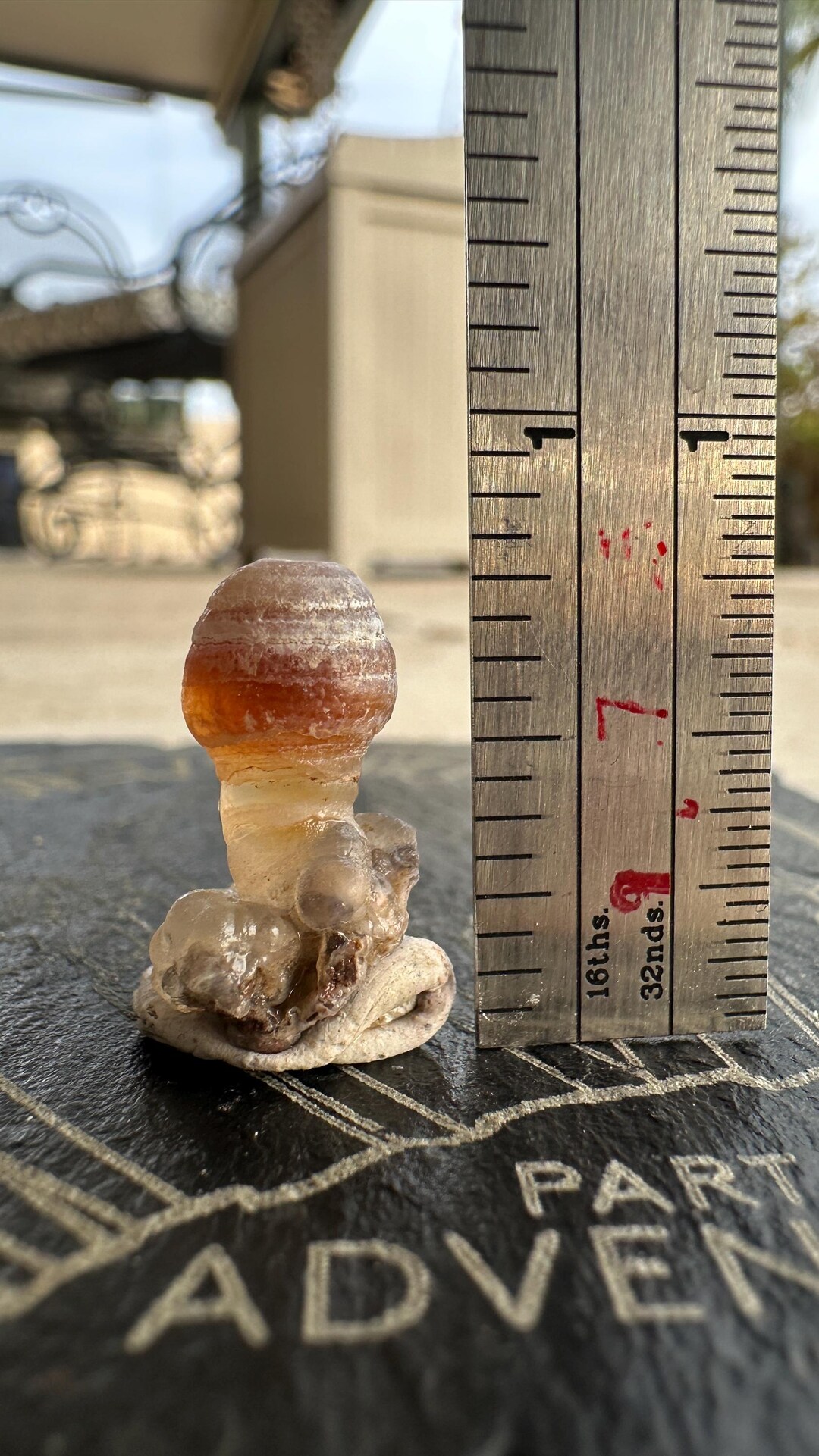 Inappropriate Rocks Bubble Tip BOYS, Bots, Fire Agates Natural Found ...