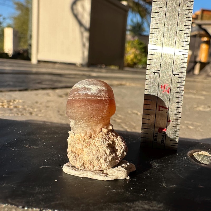 ElleyKnowsRocks - Etsy