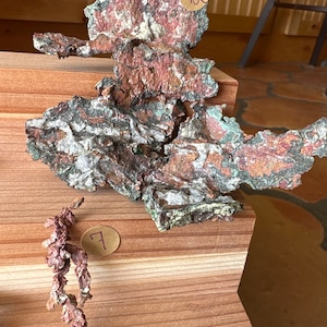 May include: Two pieces of copper ore, one large and flat, the other smaller and more twisted, on a wooden surface. The larger piece is labeled "12" and the smaller piece is labeled "7".