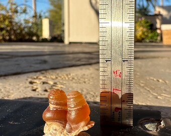 Inappropriate rocks the double team, bots, fire agates natural found,  geology, rocks, minerals, gifts, crystals, real stones, collection