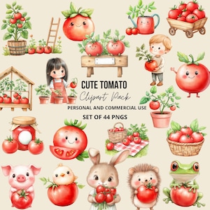 Op de afbeelding: Een verzameling aquarel illustraties met schattige tomaten en tomatenplanten. De afbeeldingen bevatten verschillende charmante personages, zoals een varken, een konijn en een egel, die elk tomaten vasthouden. De tekst luidt "CUTE TOMATO Clipart Pack".