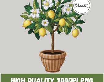 Italian Summer Lemon Tree PNG, Vintage Botanical Printable, Citrus Artwork, Blossom Tree, Mediterranean Decor, Citrus Aesthetic, Amalfi Vibe