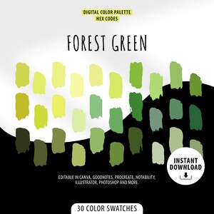 Könnte beinhalten: Eine digitale Farbpalette mit 30 Farbmustern in Waldgrün. Die Palette ist in zwei Abschnitte unterteilt, einen mit helleren Grüntönen und einen mit dunkleren Grüntönen. Der Text "FOREST GREEN" befindet sich oben im Bild. Der Text "30 COLOR SWATCHES" befindet sich unten im Bild. Der Text "INSTANT DOWNLOAD" befindet sich in einem Kreis mit einem Download-Pfeil.