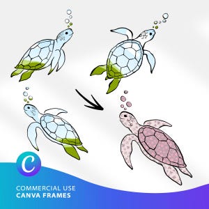 Hand Drawn Sea Turtle Canva Frames, Commercial Use Frame Template for Mugs and Tumblers