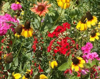 Southeastern Flower Mix Seeds Non-GMO, Open Pollinated, Heirloom for Hydroponics, Aquaponics, Soil, Raised Bed, Indoor, Outdoors -1259