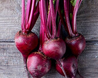 Op de afbeelding: Een close-up van verschillende verse bieten met hun levendige rode wortels en stelen. De bieten hebben een diepe bordeauxrode kleur en hun stelen zijn helder magenta. Groene bladeren zijn bevestigd. De groenten zijn gerangschikt op een rustiek houten oppervlak.