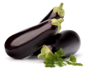 Eggplant Florida Market Seeds Non-GMO, Open Pollinated, Heirloom for Hydroponics, Aquaponics, Soil, Raised Bed, Indoor, Outdoors,Green House