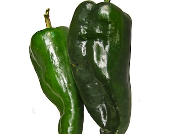 Hot Pepper Poblano Seeds Non-GMO, Open Pollinated, Heirloom for Hydroponics, Aquaponics, Soil, Raised Bed, Indoor, Outdoors, In Pots,G House
