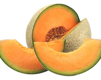 Honey Rock Cantaloupe Seeds Non-GMO, Open Pollinated, Heirloom for Hydroponics, Aquaponics, Soil, Raised Bed, Indoor, Outdoors -1073