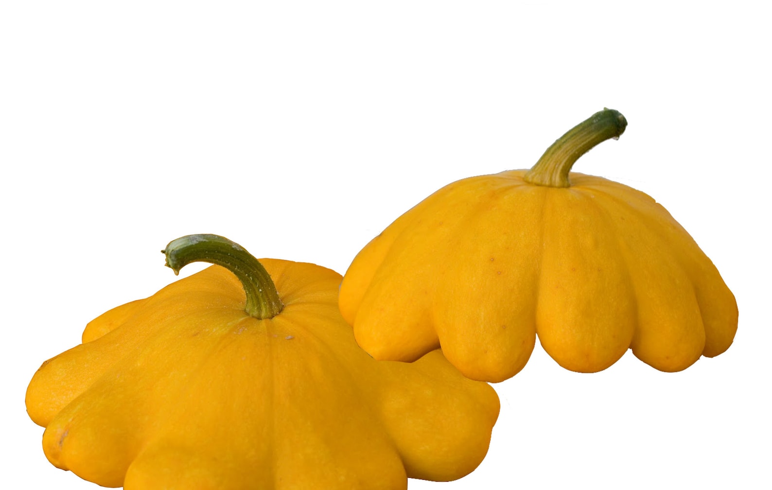 Summer Squash Scallop Yellow Bush Seeds Nongmo Open Etsy