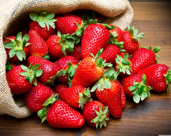 Featured listing image: Strawberry Seeds Non-GMO, Open Pollinated, Heirloom for Hydroponics, Aquaponics, Soil, Raised Bed, Indoor, In Pots, & Green House, -1020