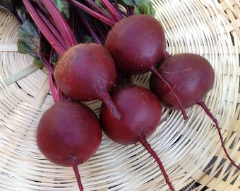 Bull's Blood Beet Seeds Non-GMO, Open Pollinated, Heirloom for Hydroponics, Aquaponics, Soil, Raised Bed, Indoor, Outdoors, In Pots