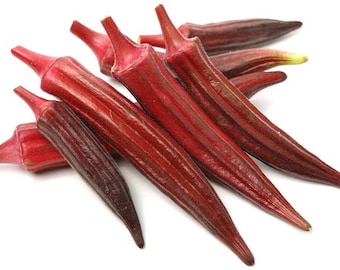 Okra Red Burgundy Seeds Non-GMO, Open Pollinated, Heirloom for Hydroponics, Aquaponics, Soil, Raised Bed, Indoor, Outdoors, In Pots