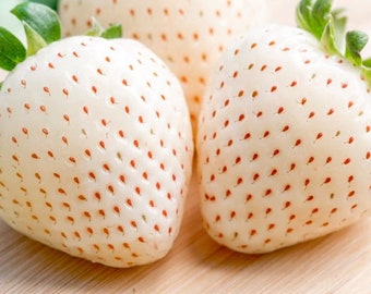 White Strawberry Seeds Packs Non-GMO, Open Pollinated, Heirloom for Hydroponics, Aquaponics, Soil, Raised Bed, Indoor, Outdoors -1193