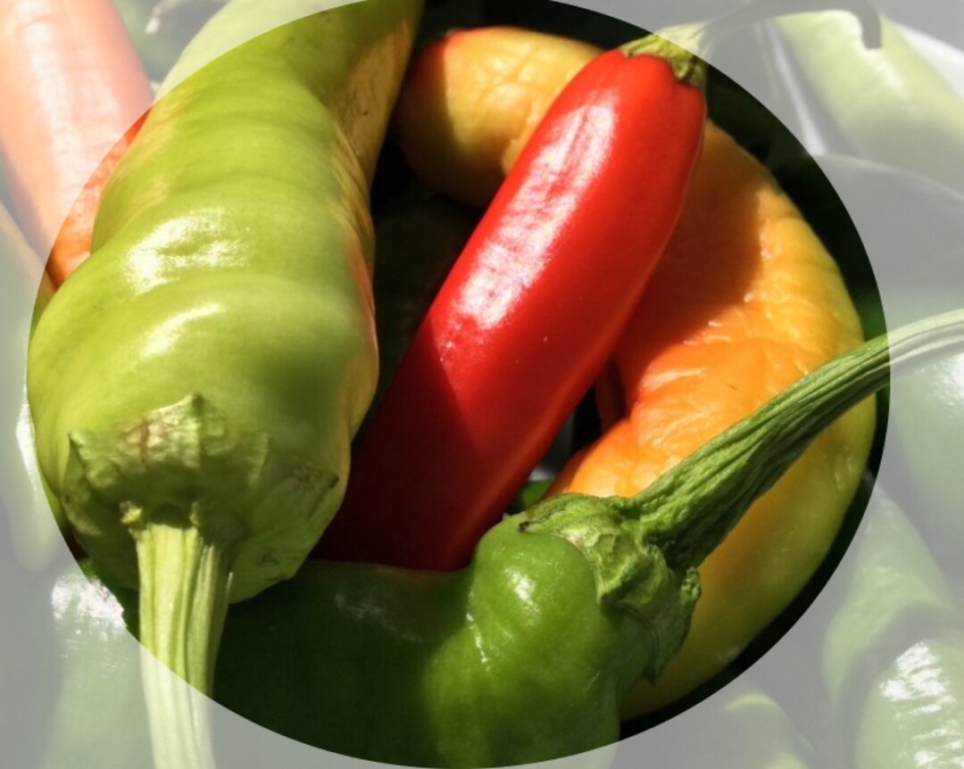 Cowhorn Hot Pepper Seeds Nongmo, Open Pollinated, Heirloom for