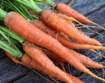 May include: A bunch of fresh orange carrots with green tops, lying on a wooden surface.