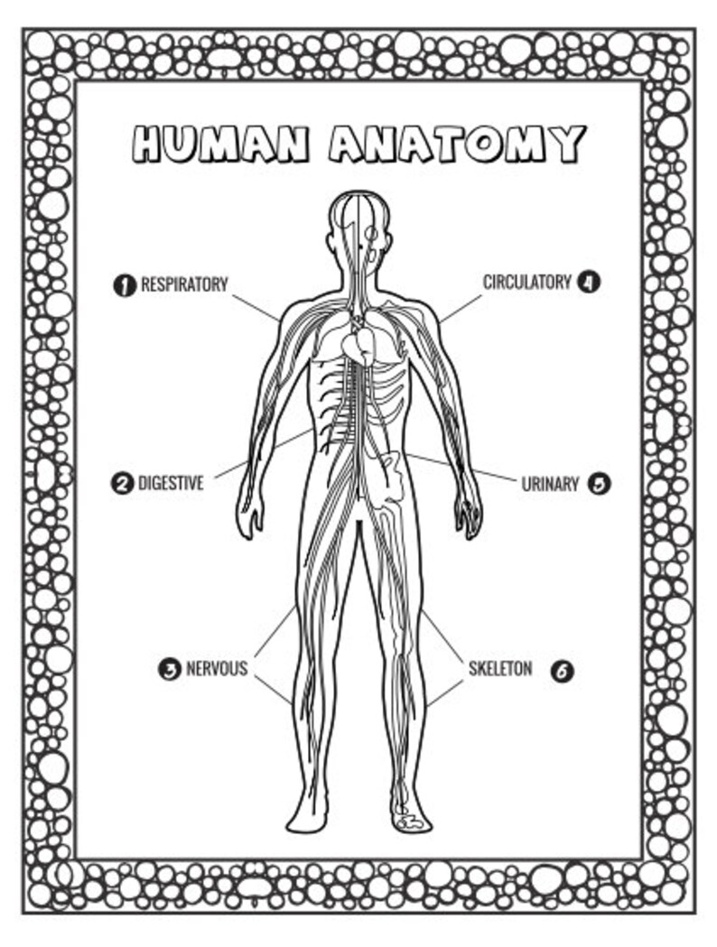 Anatomy Coloring Book for Kids! - Etsy