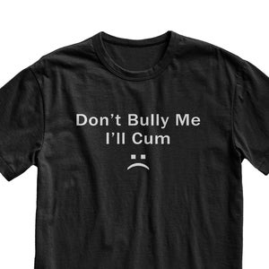 Dont Bully Me Funny Meme Tshirt, Offensive Weird Tshirt, Funny Gag Gift, Boyfriend Gifts, Silly Tops, Aesthetic Clothing