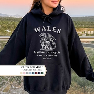 Wales Hoodie, Welsh Flag, Welsh Dragon, Vintage UK Hoodie, College Shirt, Unisex Pullover, United Kingdom, Wales Gift, Welsh Flag Jumper