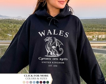 Sudadera con capucha de Gales, bandera de Gales, dragón galés, sudadera vintage del Reino Unido, camiseta universitaria, jersey unisex, Reino Unido, regalo de Gales, jersey con la bandera de Gales