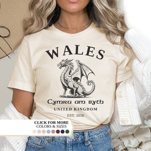 ウェールズ シャツ、ウェールズ国旗、ウェールズ城、ヴィンテージ UK パーカー、カレッジ シャツ、ユニセックス プルオーバー、イギリス、ウェールズ ギフト、ウェールズ国旗ジャンパー