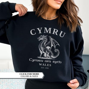 Cymru Sweatshirt, Welsh Flag, Welsh Castle, Vintage UK Hoodie, College Shirt, UK souvenir, United Kingdom, Wales Gift, Welsh Jumper, Wales