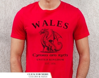 Wales Shirt, Welsh Flag, Vintage UK Hoodie, College Shirt, Unisex Pullover, United Kingdom, Wales Gift, Welsh Flag Jumper, Football Shirt