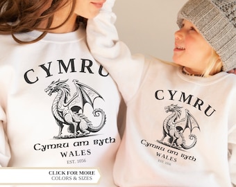 Sudadera Cymru, Bandera de Gales, Sudadera con capucha vintage del Reino Unido, Recuerdo del Reino Unido, Reino Unido, Regalo de Gales, Saltador galés, Gales, Sudadera familiar de Gales