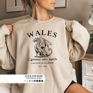 Wales Sweatshirt, Welsh Flag, Welsh Dragon, Vintage UK Hoodie, College Shirt, Unisex Pullover, United Kingdom, Wales Gift, Welsh Flag Jumper