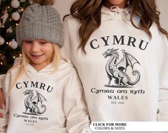 Cymru Hoodie, Welsh Flag, Welsh Dragon, Vintage UK Hoodie, College Shirt, Family Hoodie, United Kingdom, Wales Gift, Welsh Flag Jumper,Wales