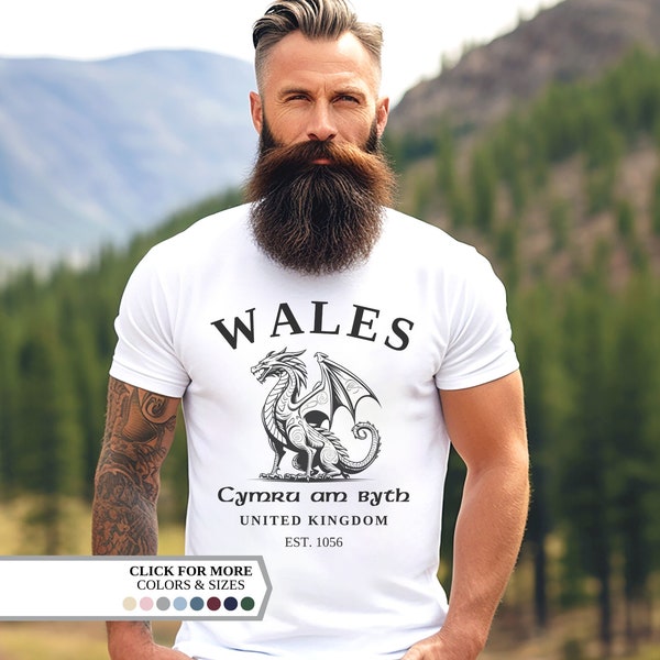 Wales Shirt, Welsh Flag, Vintage UK Hoodie, College Shirt, Unisex Pullover, United Kingdom, Wales Gift, Welsh Flag Jumper, Football Shirt