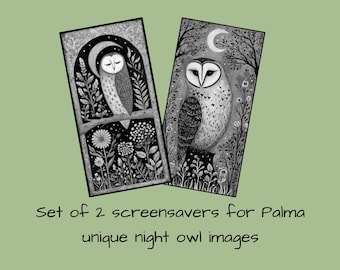 Screensaver for Boox Palma Wallpaper, Night Owl in Garden, Set of 2 Lockscreens, Digital Bundle Lock Screens, Instant Download E-ink Cover