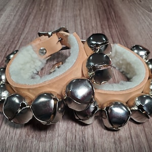 May include: A pair of leather ankle bells with silver-colored bells and a soft, white interior. The leather is light brown, and the bells are arranged around the circumference of the ankle cuffs. The bells are attached with metal rivets.