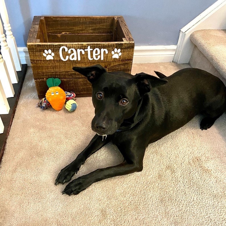 Handmade wooden dog toy box image 2