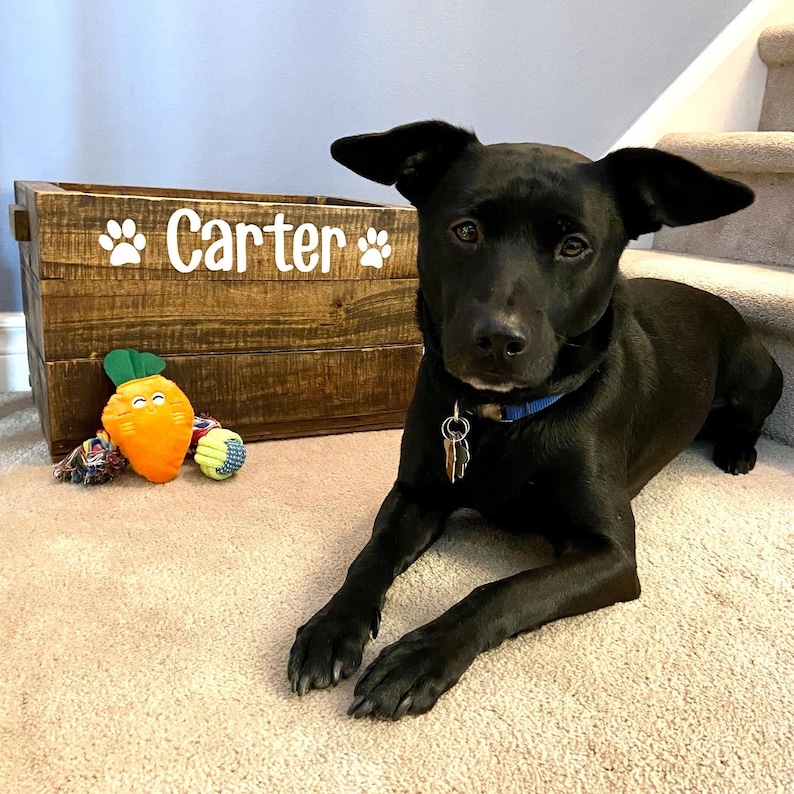 Handmade wooden dog toy box image 1