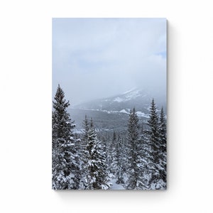 Winter Park View, Snowy Trees and Mountains, Winter Photo, Landscape Photography, Digital Download