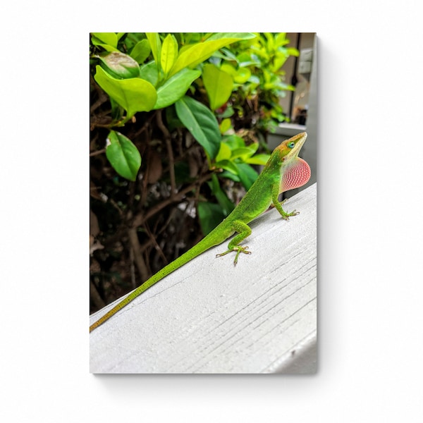 Gecko Photo, Colorful Lizard Print, South Carolina,  Printable Photography, Digital Download