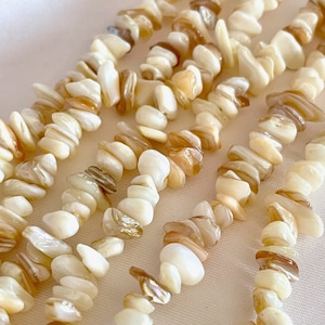 May include: A strand of white and brown shell beads. The beads are irregular in shape and have a natural, organic look.
