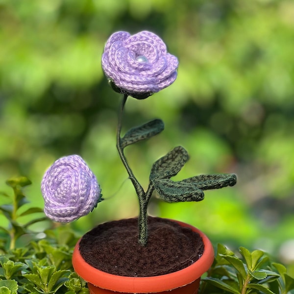 Flower That Never Dies Etsy