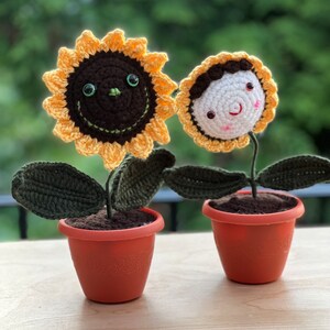 Crocheted sunflowers in a pot ,handmade  sunflower,knitted flower face, forValentine&#39;s Day flowers